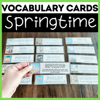 Preview of 15 Spring Vocabulary Cards for Kids | Word Wall Picture Cards
