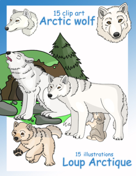arctic wolf clipart