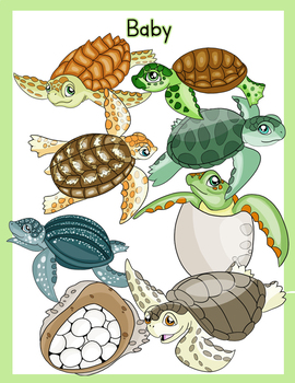 baby sea turtle clip art