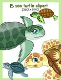 15 sea turtle clipart