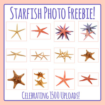 booth jonathan starfish clipart