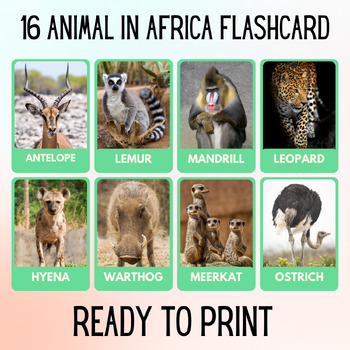 Preview of 16 Animal in Africa Educational Printables Flashcards Educational Montessori