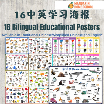 Preview of 16 Bilingual Chinese English Learning Posters Bundle (Simplified Chinese)