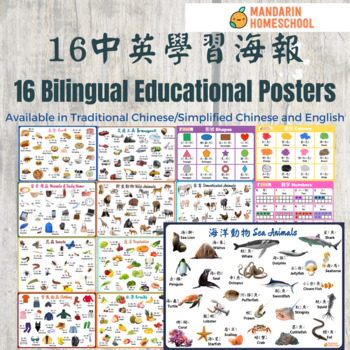 Preview of 16 Bilingual Chinese English Learning Posters Bundle(Traditional Chinese/Zhuyin)