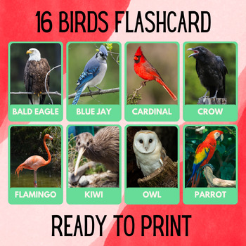 Preview of 16 Bird Educational Printables Flashcards Educational Activities Montessori