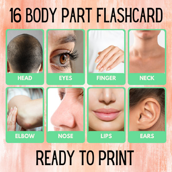 Preview of 16 Body Part Educational Printables Flashcards Educational Activities Montessori