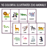 16 Colorful Illustrated Zoo Animals Flashcards