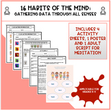 16 Habits of the Mind: Gathering Data Through All Senses