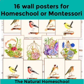 Preview of 16 Homeschool room or Montessori environment wall decorations (succulents and bi