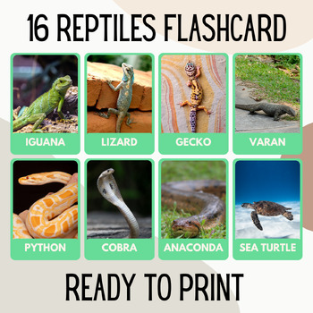 Preview of 16 Reptile Educational Printables Flashcards Educational Activities Montessori