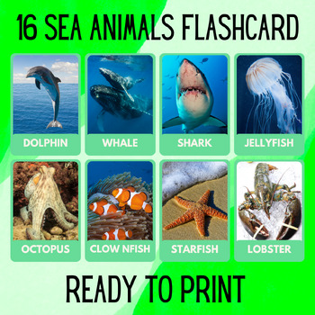 Preview of 16 Sea Animal Educational Printables Flashcards Educational Activitiy Montessori