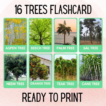 Preview of 16 Tree Educational Printables Flashcards Educational Activities Montessori