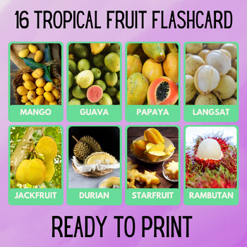 Preview of 16 Tropical Fruit Educational Printables Flashcards Educational Montessori