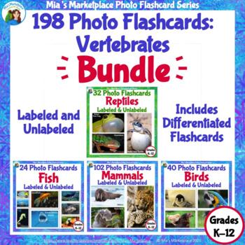 Preview of 198 Animal Photo Flashcards Bundle: Vertebrates