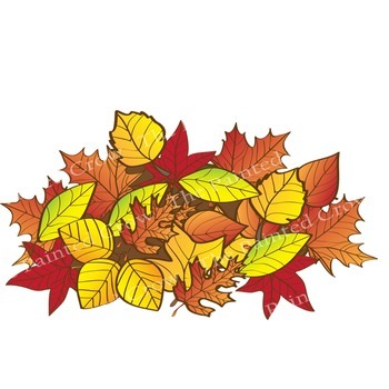 fall leaf pile clipart