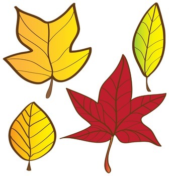 Autumn Leaves Clipart Set - Fall Leaves 18 Piece Set - Color & Blackline