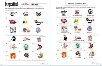 spanish body parts vocabulary 18 ids worksheet by sue