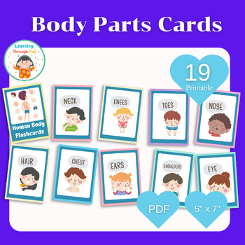 Preview of 19 Body Parts Cards, Montessori flashcards, Pre-School Cards