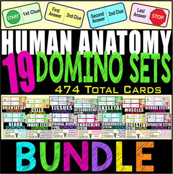 Preview of 19 SET BUNDLE ~Human Anatomy Domino Reviews~ BODY SYSTEMS~ 474 Cards + Keys