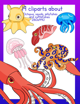 cuttlefish vs squid vs octopus