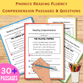 1st,2nd,3rd Grade Phonics Reading Fluency Comprehension Pa