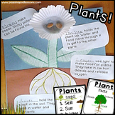Open House Projects Parts of a Plant Cut & Paste Worksheet
