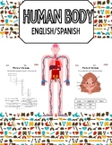1st-3rd Grade Beginner's Anatomy English & Spanish Body Pa