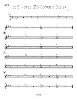 Preview of 1st 5 Notes For Beginning Band ( Concert Bb Scale)