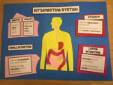 1st-6th Grade: My Digestive System Ultimate Bundle Kit