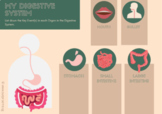 1st-6th Grade: My Digestive System Mindmap (Simple Review 