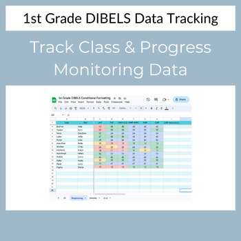Preview of 1st Grade DIBELS Data Collection Tracker - Beginning, Middle, and End of Year