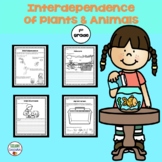 1st Grade: Interdependence of Plants and Animals