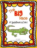 1st Grade Journeys - The Big Race Unit 3 Lesson 14