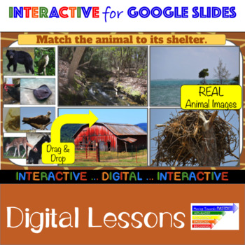 Teaching Resources: Google's 3D Animals