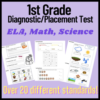 Preview of 1st Grade Placement/Diagnostic Test- ELA, Math, Science- 20+ standards
