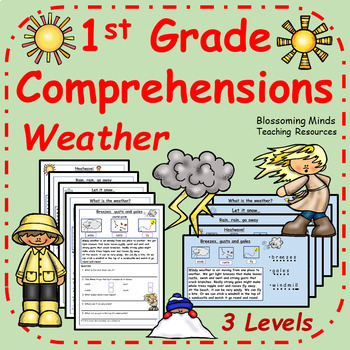 Preview of 1st Grade Reading Comprehension : Weather