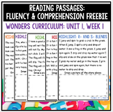 1st Grade Reading Passage | Fluency & Comprehension | Wond