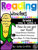 1st Grade Reading Wonders Supplement Unit 3, Week 5