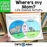 1st Grade Science Lesson Heredity and Traits STEM Activity