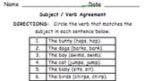 1st Grade Subject Verb Agreement