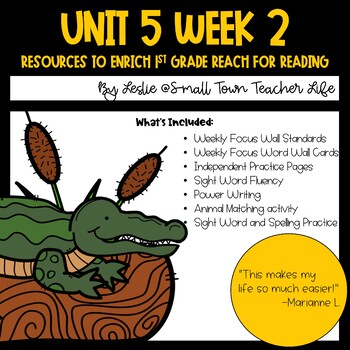 Preview of 1st Grade Unit 5 Week 2 Resources Aligned with Reach for Reading- Tons of Pages!