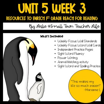 Preview of 1st Grade Unit 5 Week 3 Resources Aligned with Reach for Reading