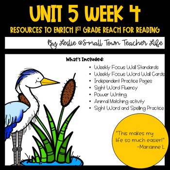Preview of 1st Grade Unit 5 Week 4 Resources Aligned with Reach for Reading
