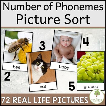 Preview of 2 3 4 & 5 Phoneme Counting Real Picture Cards for Sorting and Segmenting Sounds