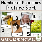 2 3 4 & 5 Phoneme Counting Real Picture Cards for Sorting 