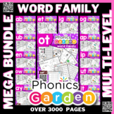 2 Letter Word Family Multi-Level BUNDLE | Pat-a-Word | OVE