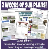 2 MORE weeks of sub plans or remote learning!!  EASY NO pr