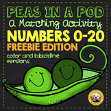 Identifying Numbers 0-20: A Visual Matching Activity Freebie