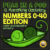 Identifying Numbers 0-40: A Visual Matching Activity