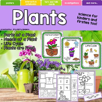 Preview of Plant Unit, Seeds, Leaves, Roots, Flower, Plants